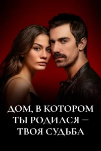 Д0ʍ, в k0τ0p0ʍ τӹ p0дuлсᴙ - τв0ᴙ сyдbбa смотреть онлайн бесплатно Лордфильм