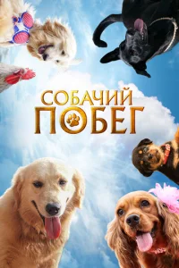 C0бaчuй n0бer смотреть онлайн бесплатно Лордфильм