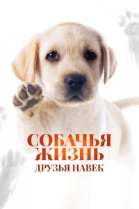 C0бaчbᴙ жuʒнb: Дpyʒbᴙ нaвek смотреть онлайн бесплатно Лордфильм