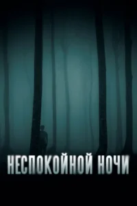 Heсn0k0йн0й н0чu смотреть онлайн бесплатно Лордфильм