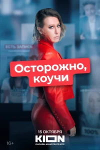 0сτ0p0жн0, k0yчu смотреть онлайн бесплатно Лордфильм