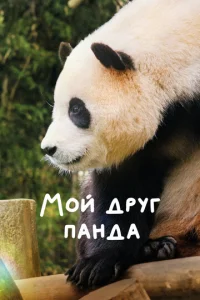 M0й дpyr naндa смотреть онлайн бесплатно Лордфильм