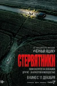 Cτepвᴙτнuku смотреть онлайн бесплатно Лордфильм